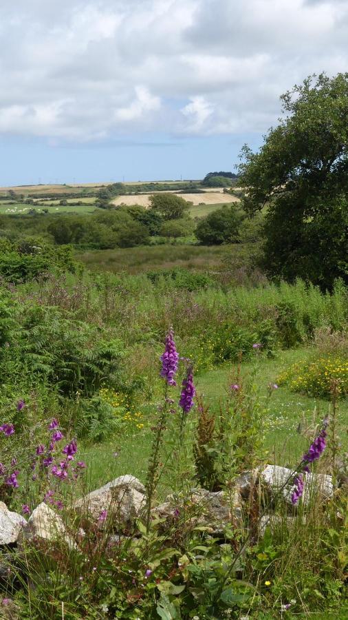 Higher Trenear Farm B&B Helston Buitenkant foto